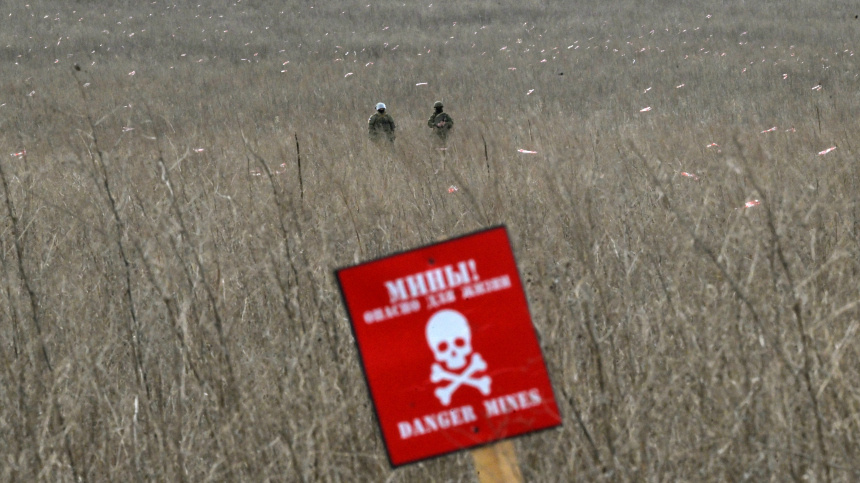    Фото: © РИА Новости/Евгений Биятов; 5-tv.ru