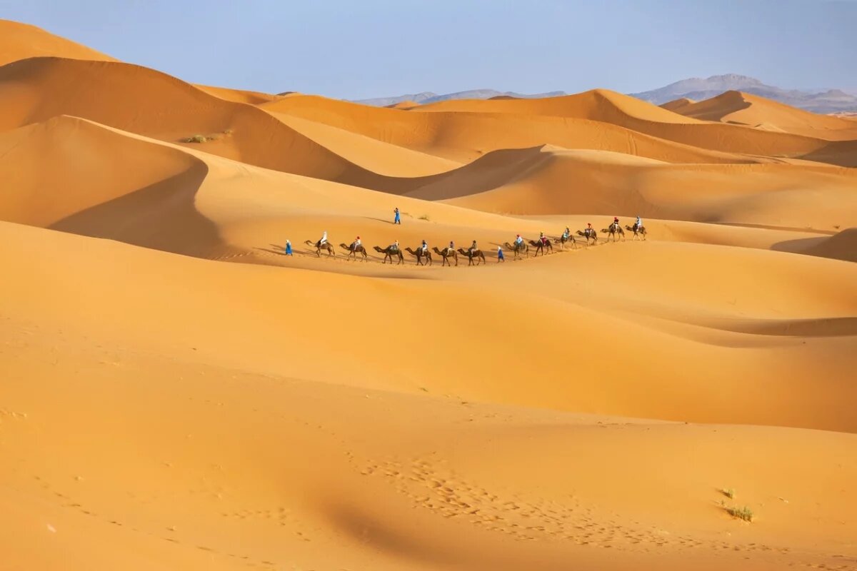    За последние 50 лет страны континента потеряли примерно 650 тысяч квадратных километров продуктивных сельскохозяйственных угодий.