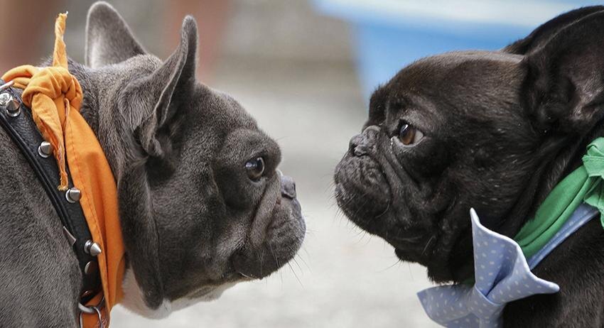    imago-images.de/Global Look Press