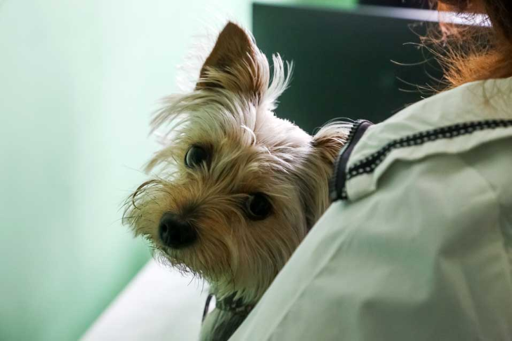    Фото из архива VN.ru