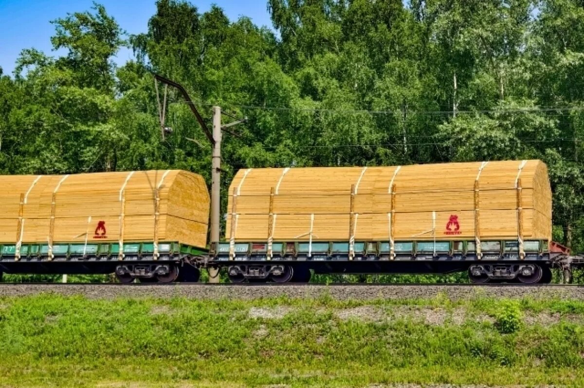    В Томской области завели уголовное дело о контрабанде леса на сумму 97 млн