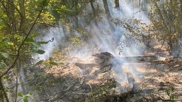    © Минприроды Крыма