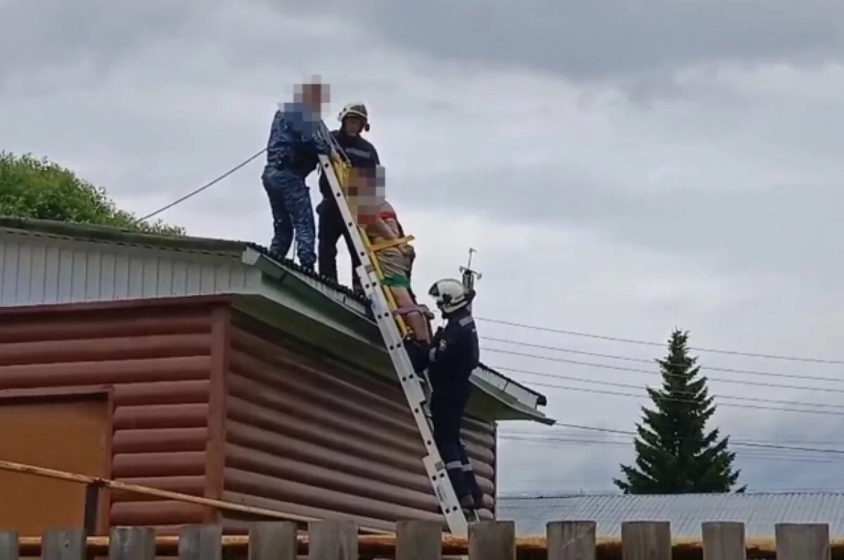    В Прикамье неадекватного мужчину сняли с крыши и передали приставам