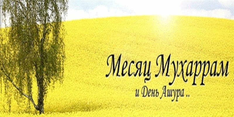    С Днем Ашура Фото: bipbap.ru