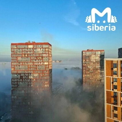    Фото: телеграм-канал "Mash Siberia"