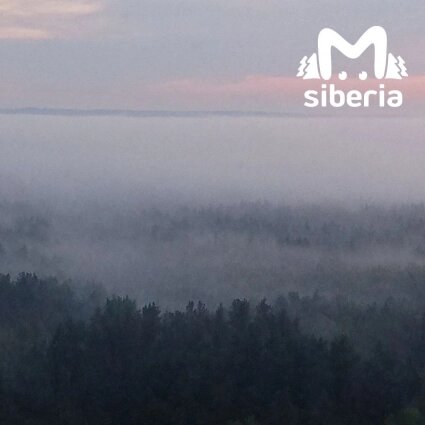    Фото: телеграм-канал "Mash Siberia"