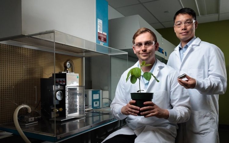    Фото: Ryan Riley / Iowa State University College of Engineering