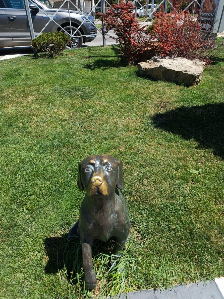 Фото автора