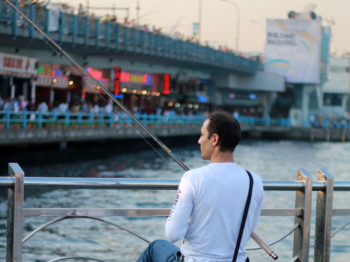 Фото: pxhere.com