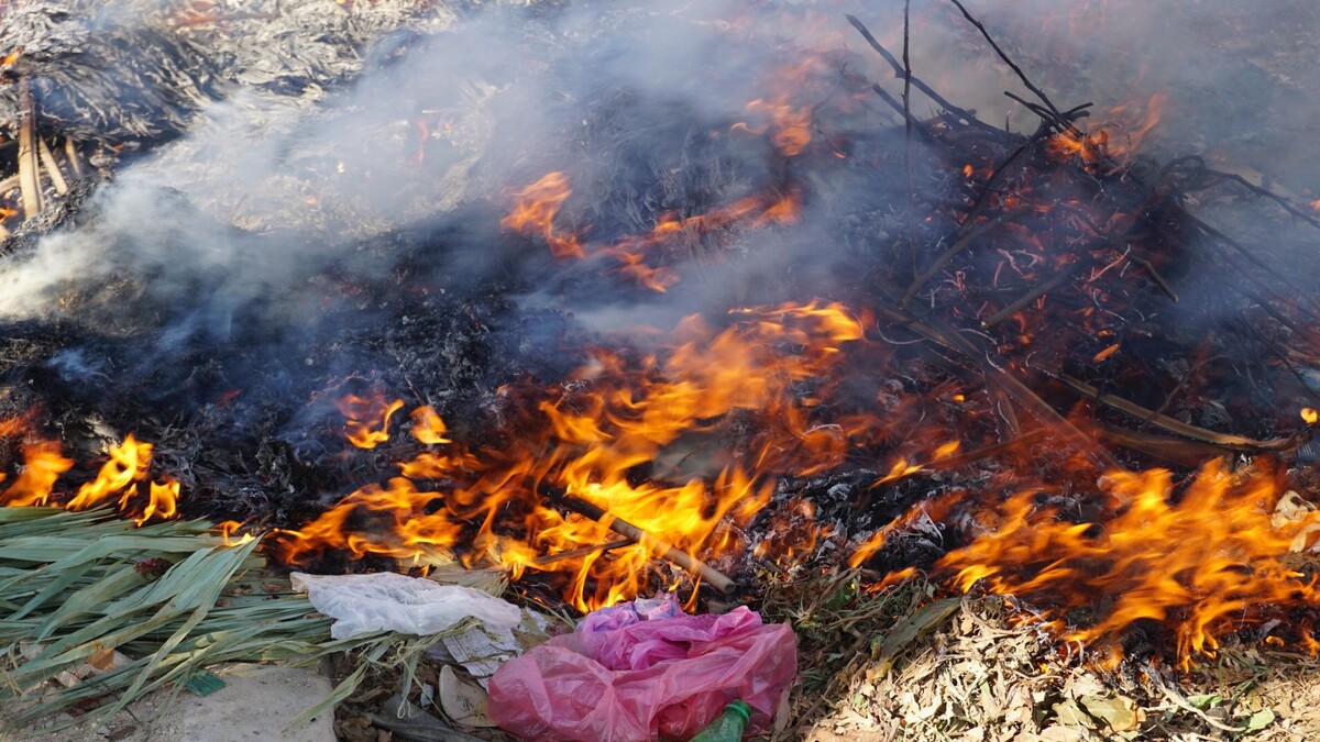    Фото: FunnyArti/Shutterstock/Fotodom