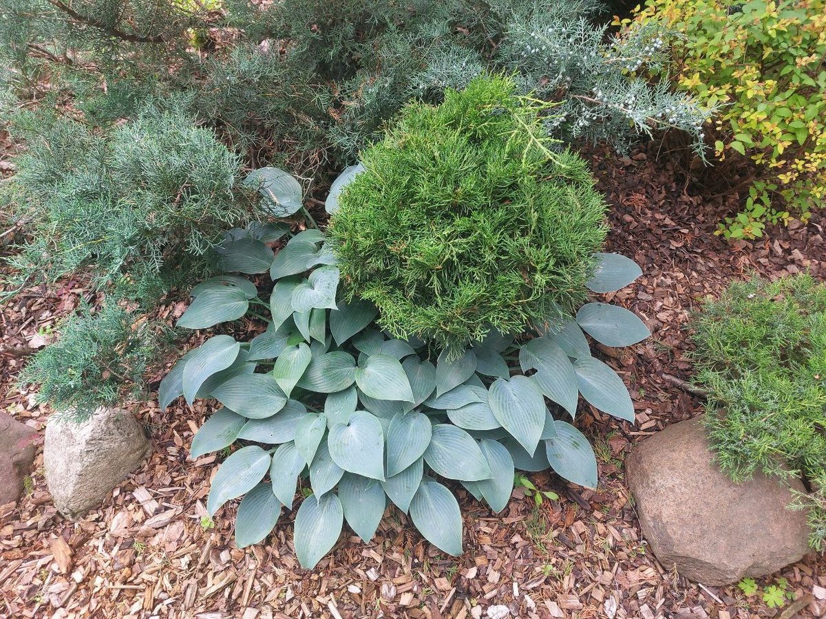 Фото из архива автора