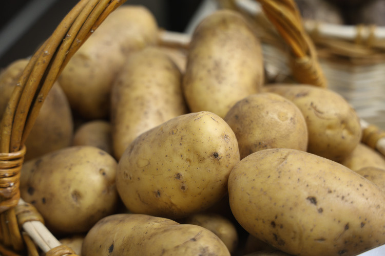    Первая очередь предполагает переработку 36 тыс. т картофеля в год. Мощность по готовой продукции — 3 т в сутки.   
Фото: «БИЗНЕС Online»