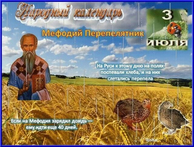 изображение взято с сайта яндекс картинки