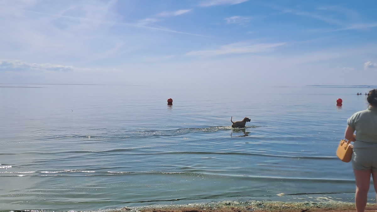    Фото: Baltphoto/Надежда Цветкова