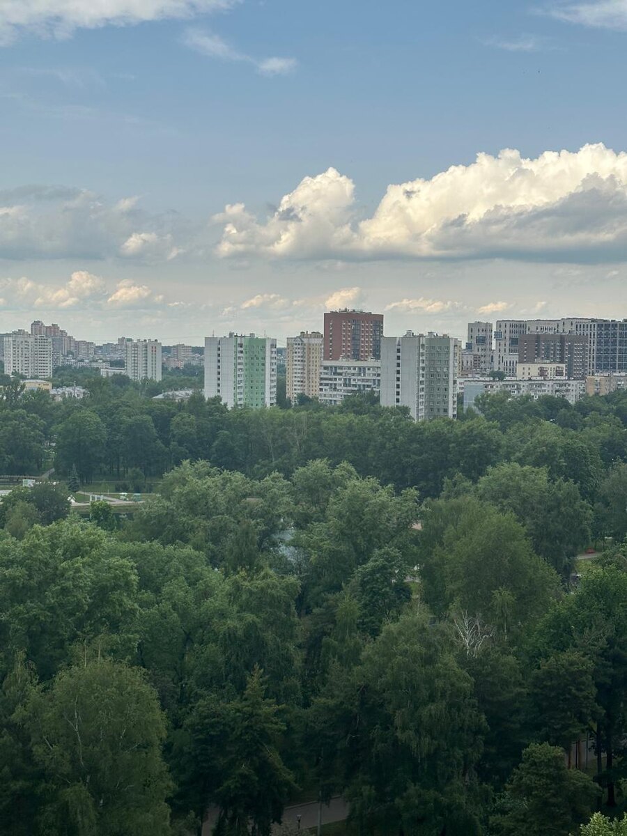 Виды из окна и лоджии на парк Торфянка