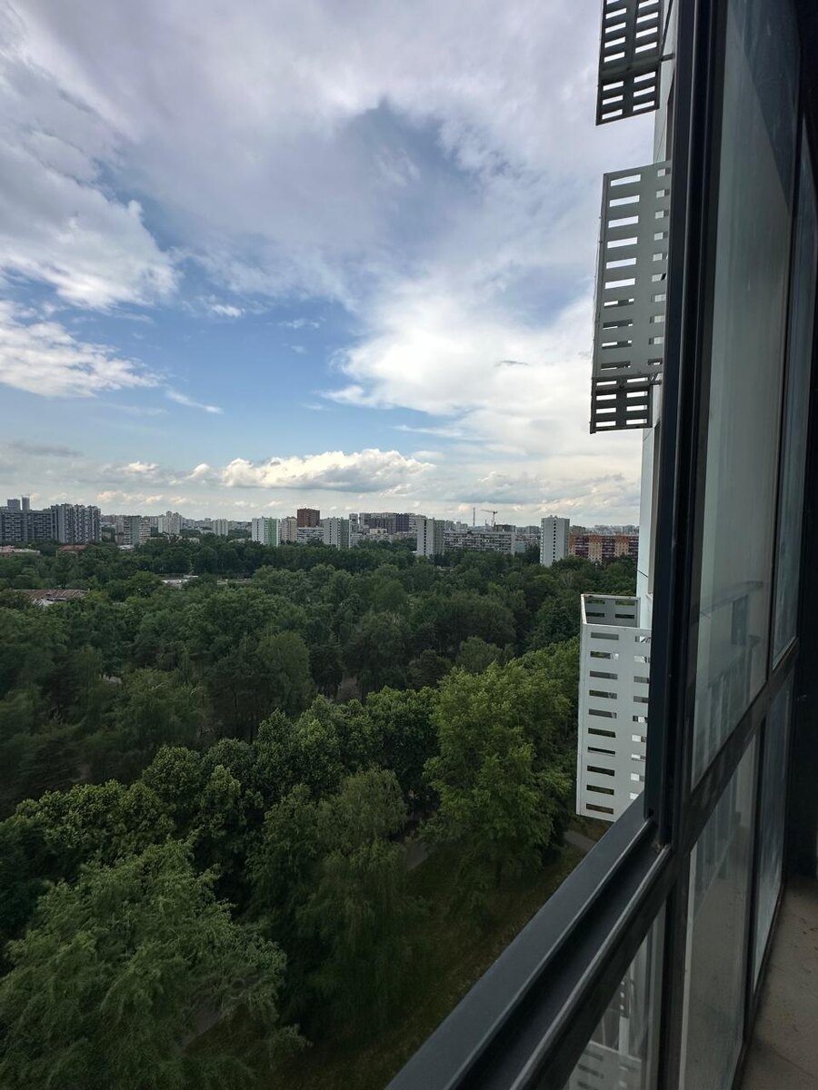 Виды из окна и лоджии на парк Торфянка