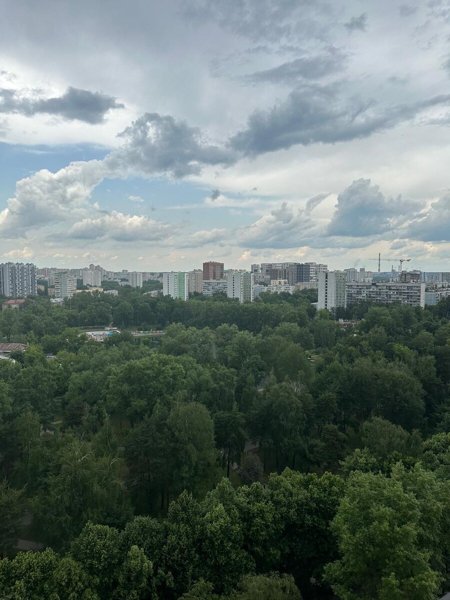 Виды из окна и лоджии на парк Торфянка
