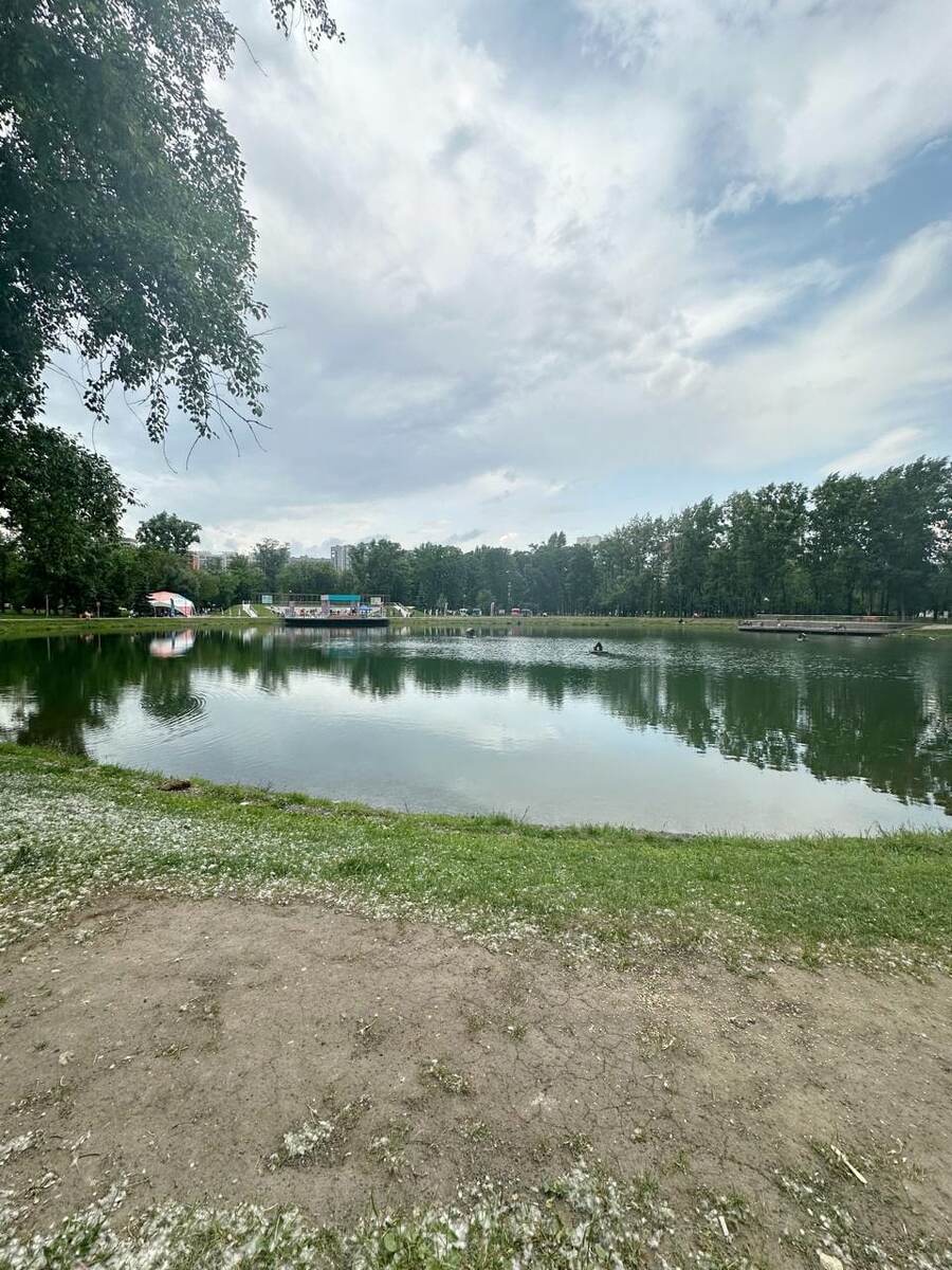 Пруд Торфянка