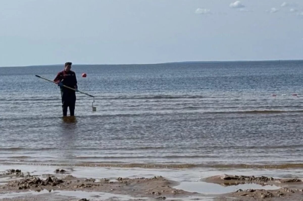    В Петербурге и Ленобласти пригодными для купания признали 8 пляжей