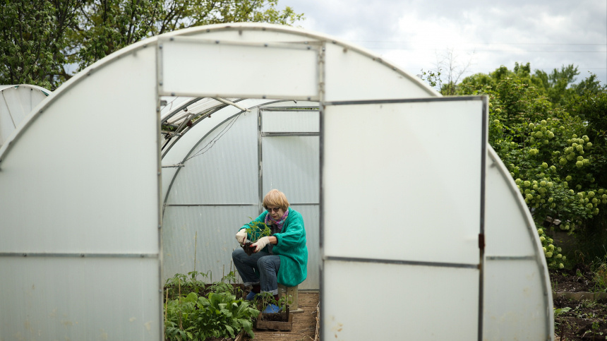    Фото: © РИА Новости/Виталий Тимкив