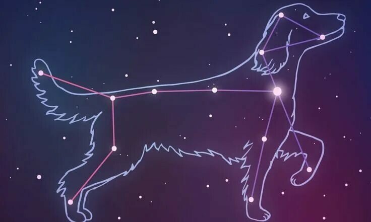 Созвездие Большого Пса