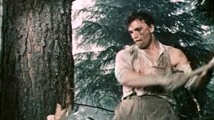 "Коммунист"   1957г