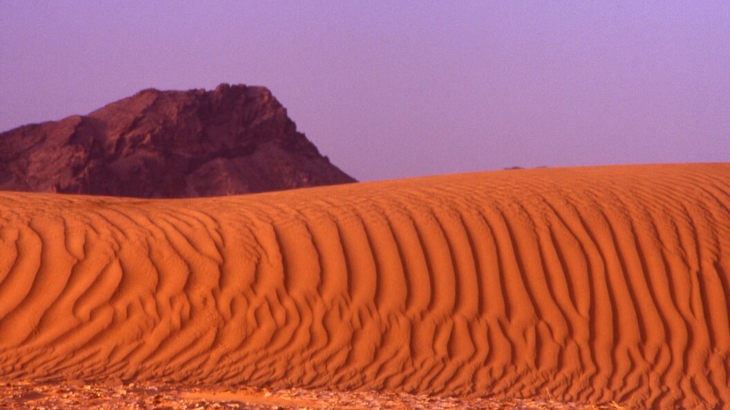    Фото: Terry Martin /Globallookpress