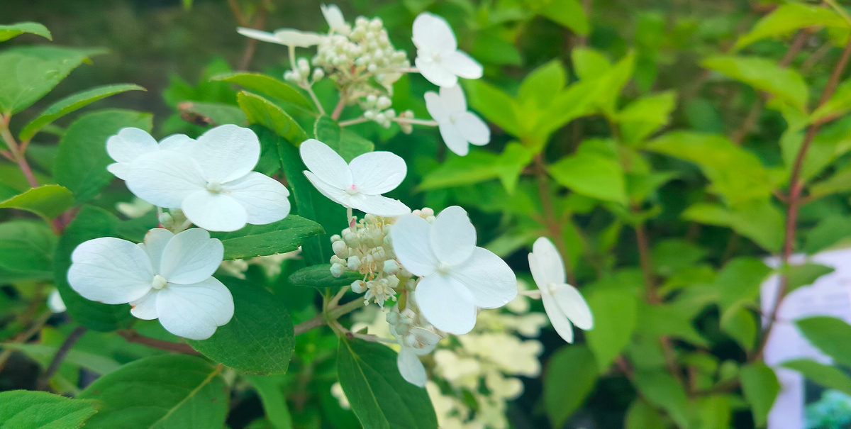 И вы думаете, я вам поверю? — Нет, дорогуша. Но это не значит, что я вру. 
Из сериала Касл (Castle) 