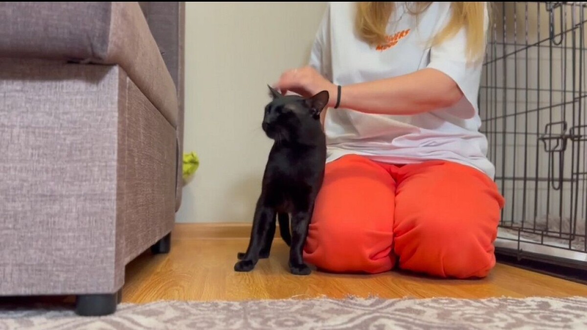    Фото: www.kuban.kp.ru