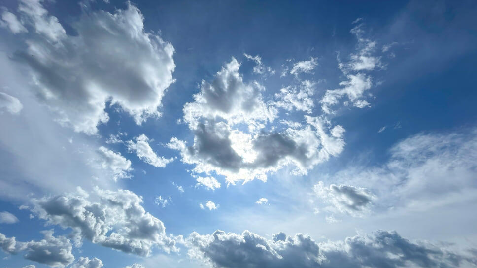 Фото: Игорь Елисеев / Коммерсантъ