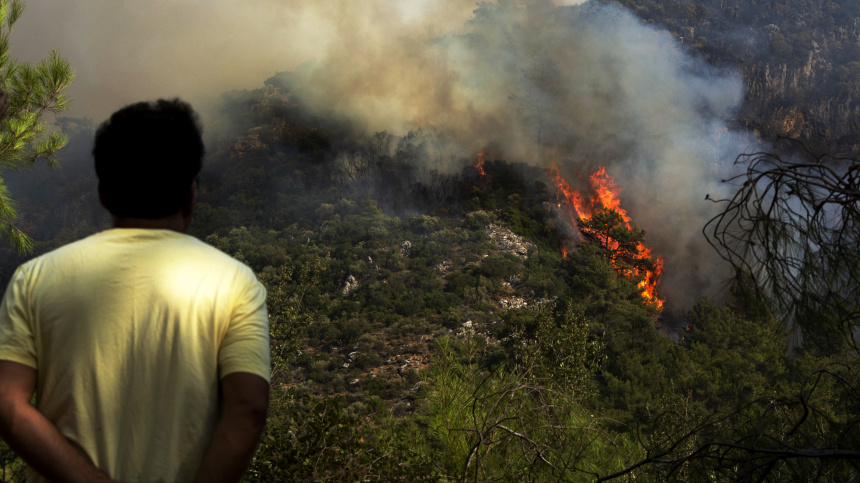    Фото: © РИА Новости/Бурджу Окутан; 5-tv.ru