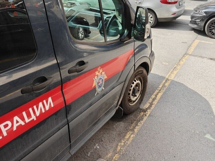     Фото: Архив МК в Питере.