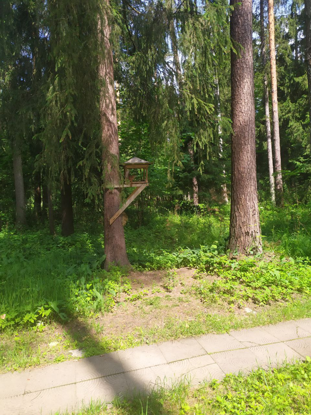 Личное фото