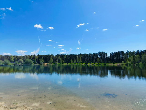 Из местного чата