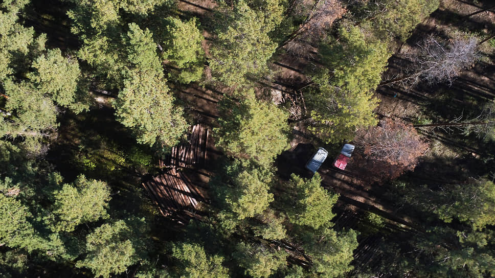 Фото: Влад Некрасов / Коммерсантъ
