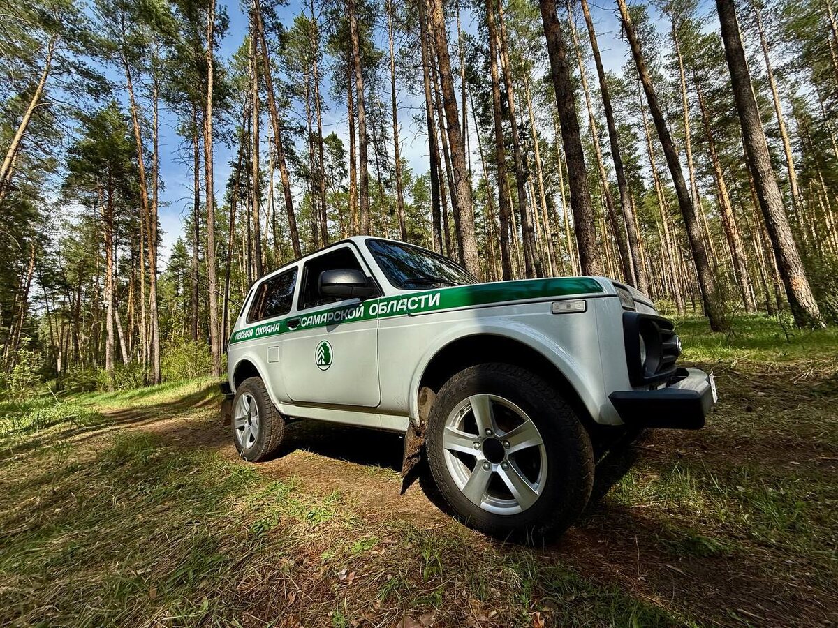    Фото Минприроды Самарской области