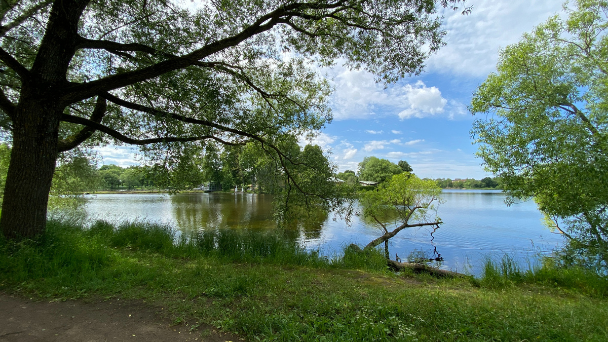 Ольгин пруд.