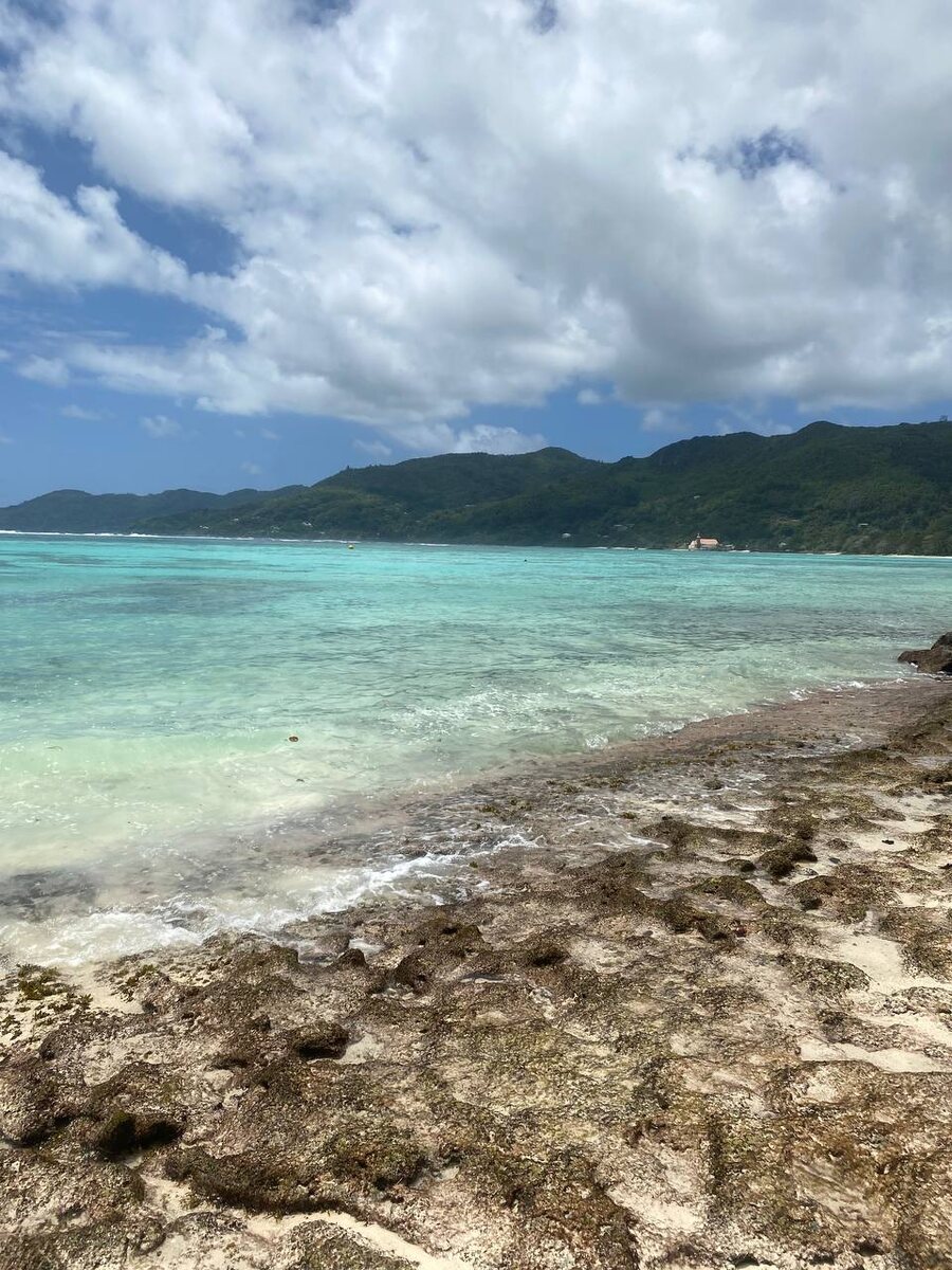 Екатерина Горшкова 