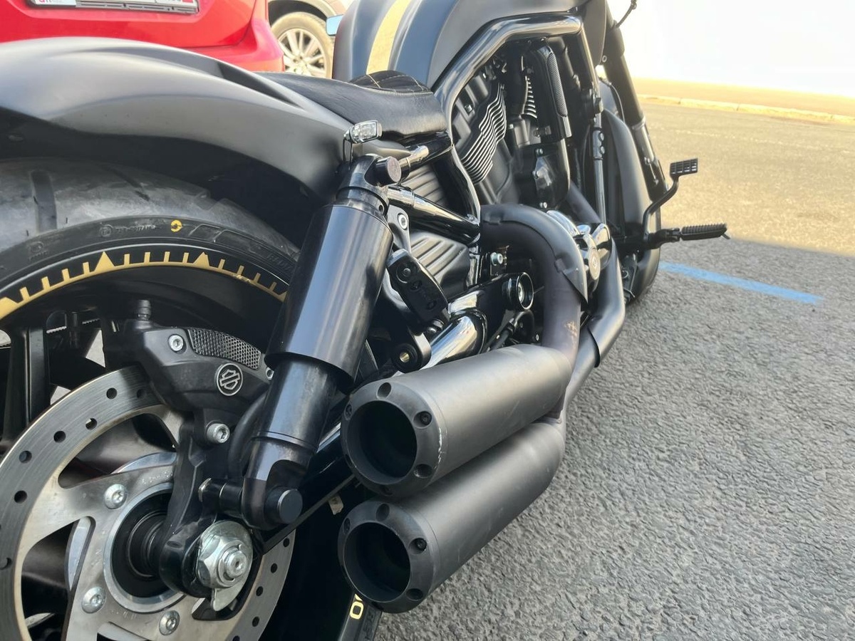 Фото: Neva.Today