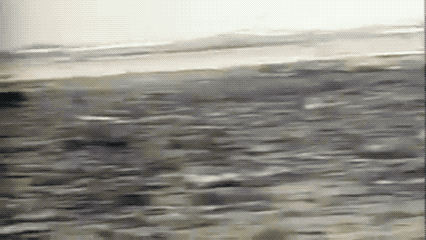 Архивные кадры с места крушения. (Mayday)