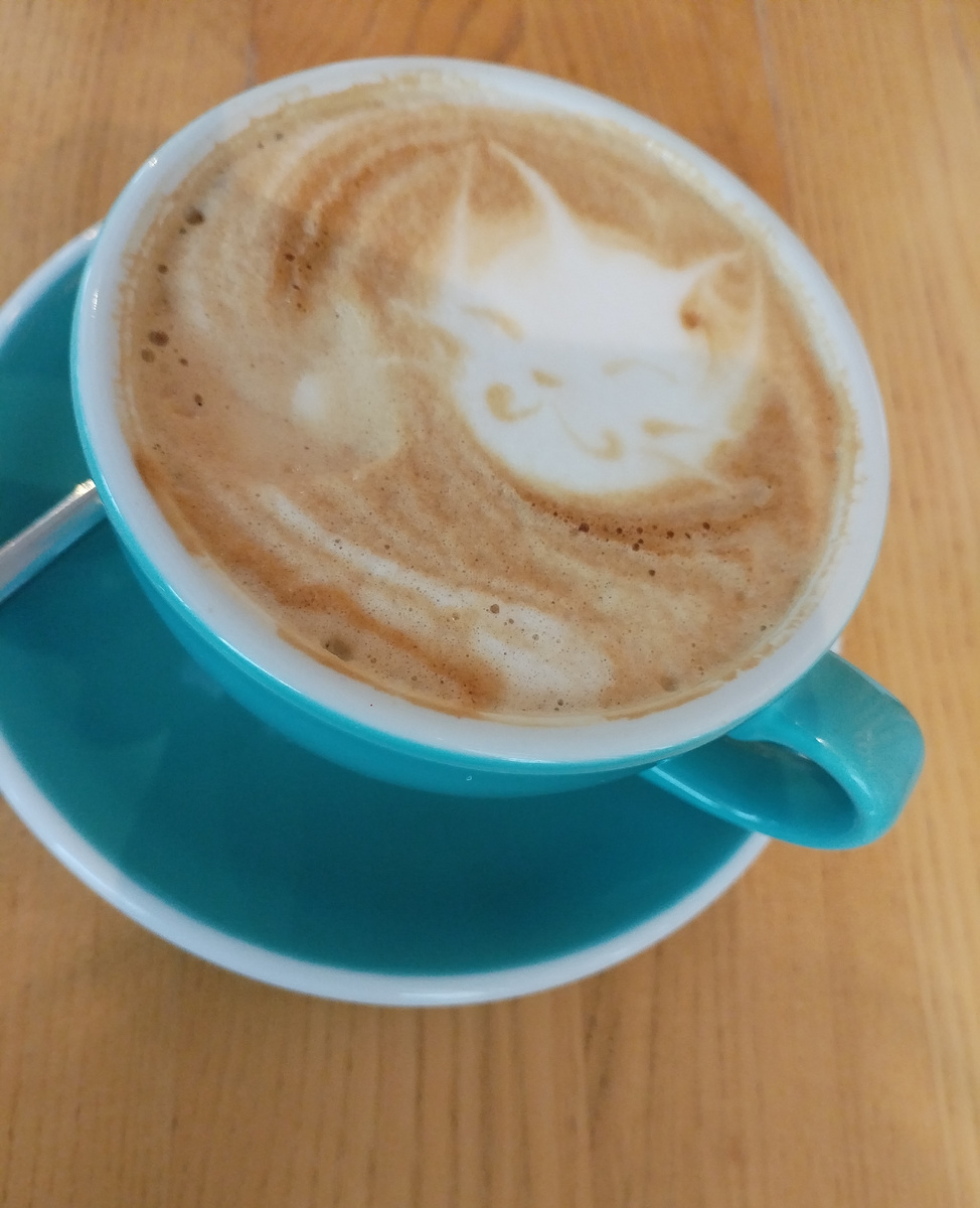 Ко-о-отик!😍