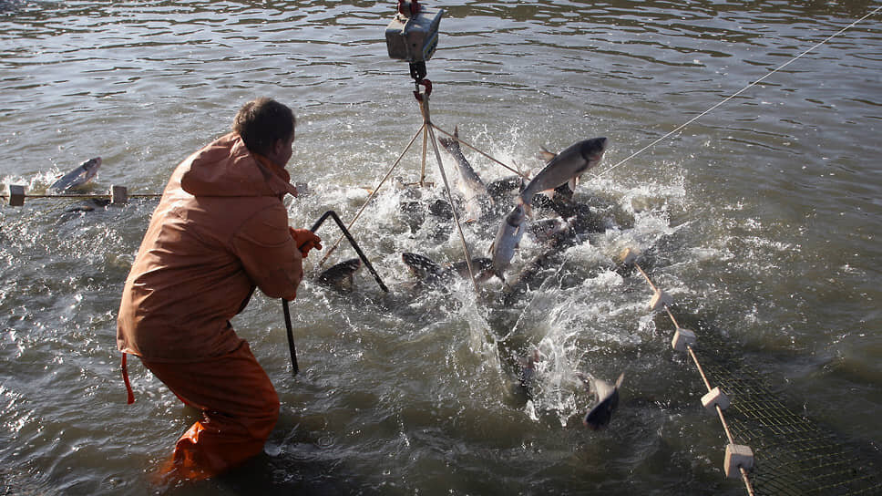 Фото: Василий Дерюгин / Коммерсантъ