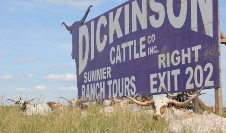    Фото: Dickinson Cattle Co.