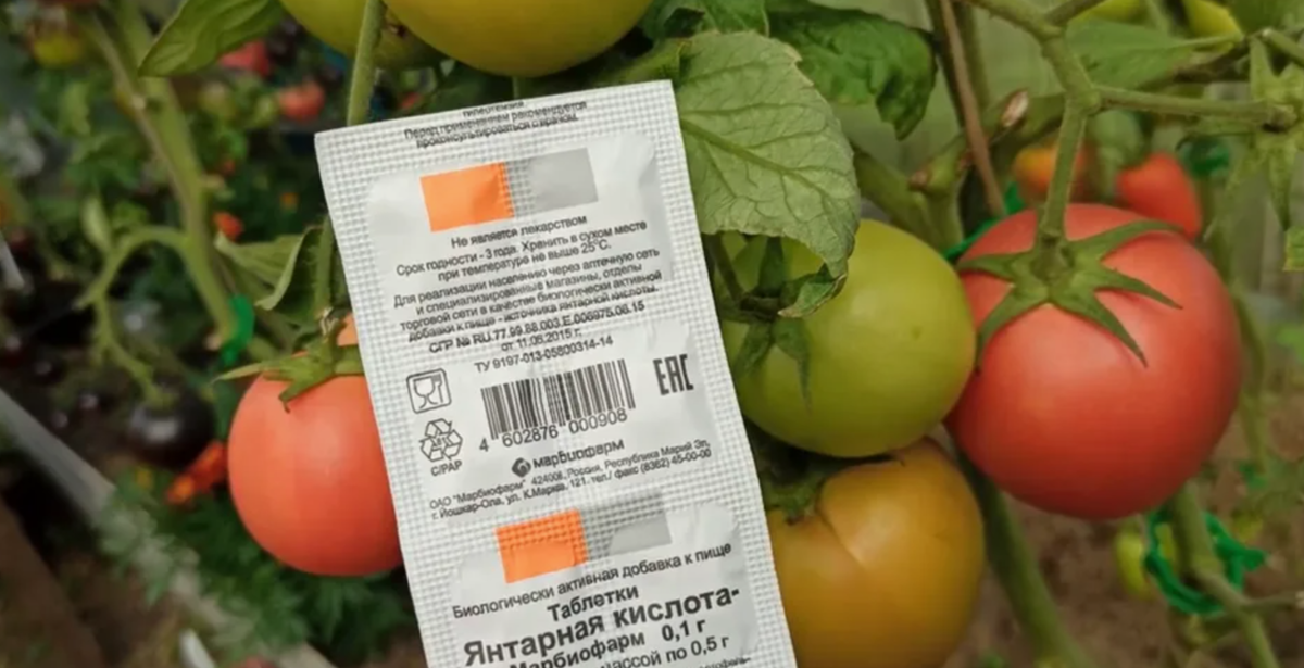 янтарная кислота 