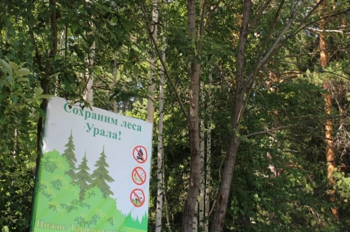    Денис Паслер сообщил о завершении особого противопожарного режима на Урале