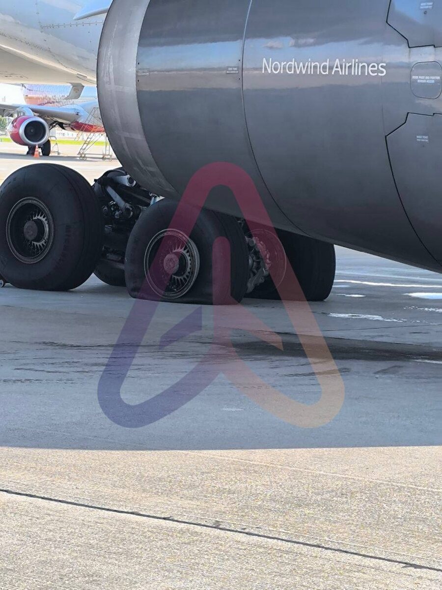    Фото: Telegram-канал «Авиаторщина»