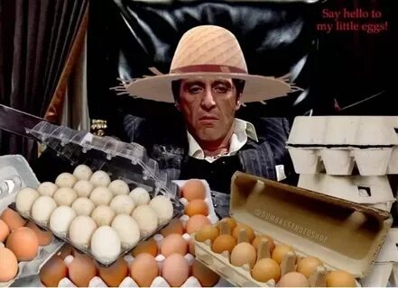 Фотографии взяты из открытых источников