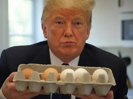 Фотографии взяты из открытых источников