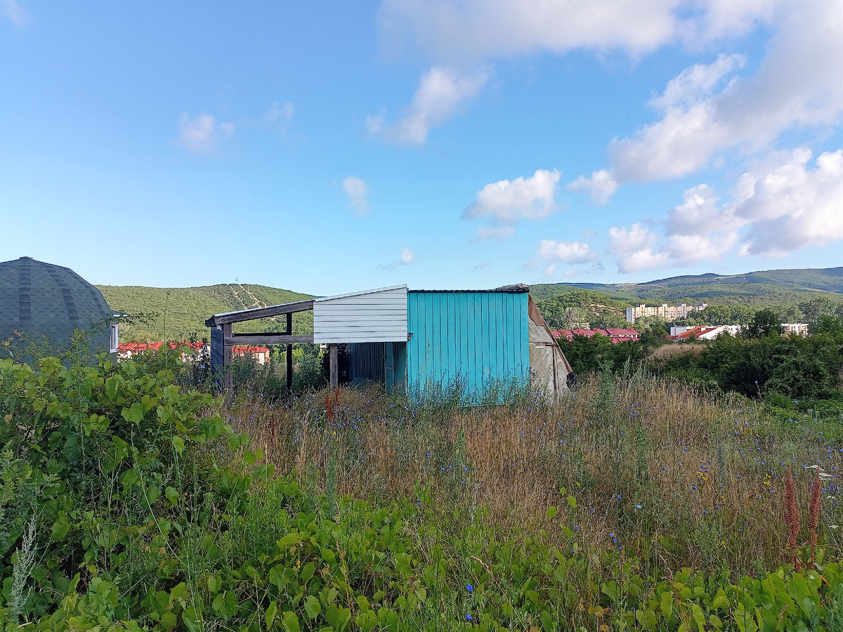 Такой вот дом