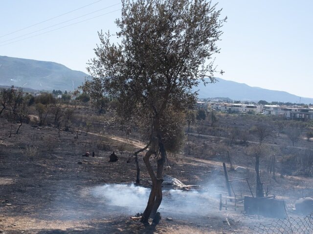    Фото: ТАСС/EPA/MURAT KOCABAS